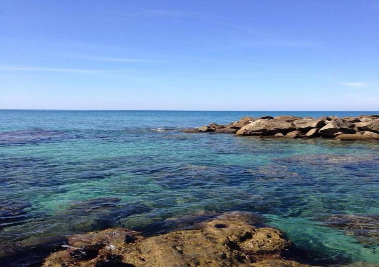 הוילה L'Albero Di Limoni Sul Mare Di Pizzo מראה חיצוני תמונה