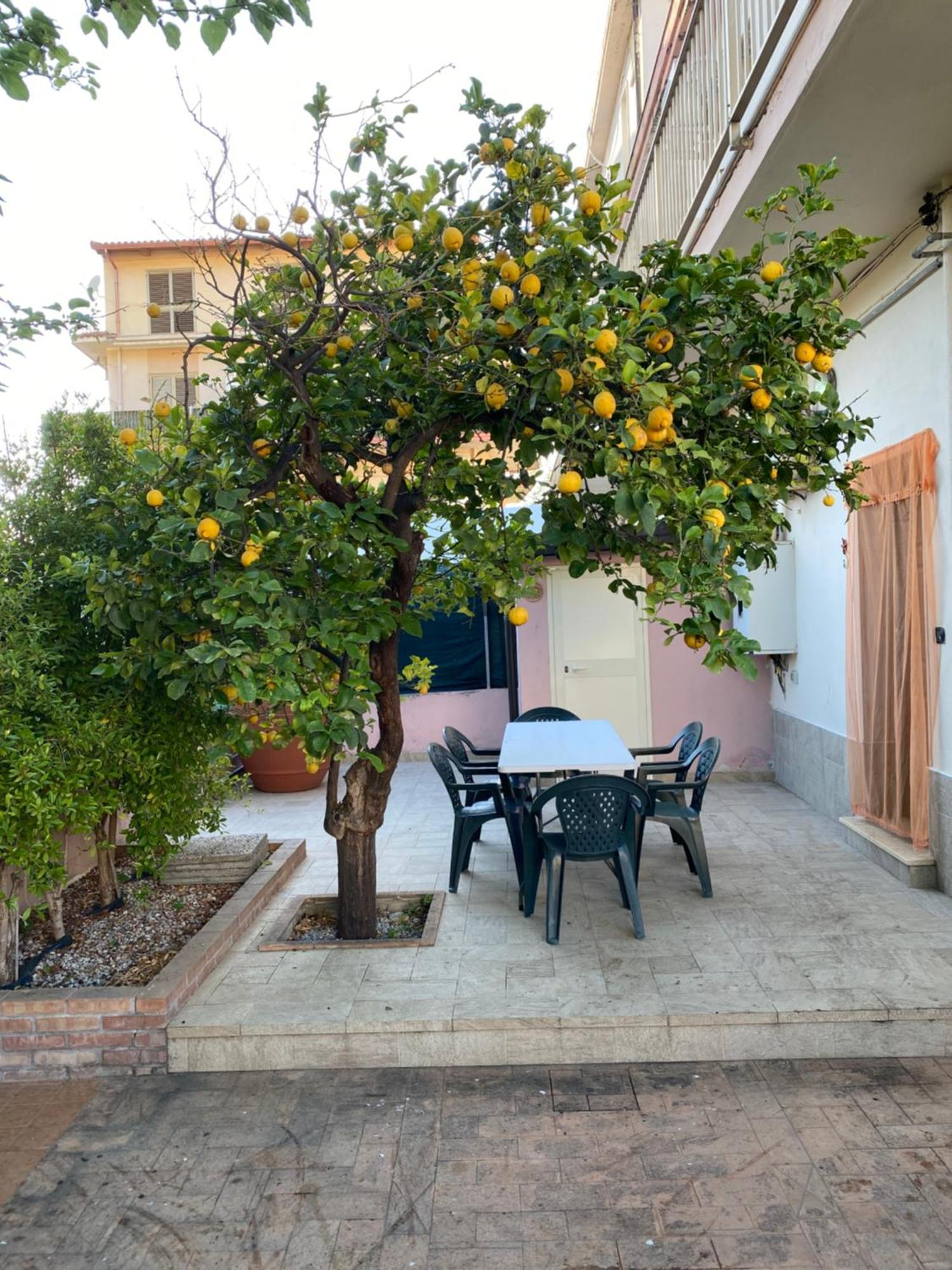 הוילה L'Albero Di Limoni Sul Mare Di Pizzo מראה חיצוני תמונה