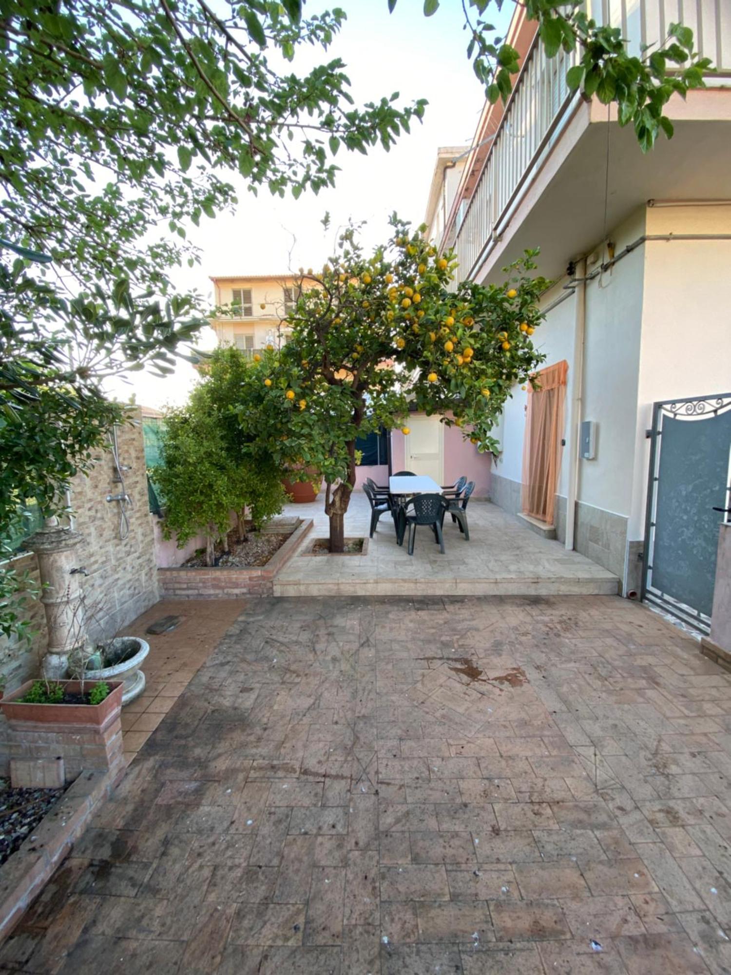 הוילה L'Albero Di Limoni Sul Mare Di Pizzo מראה חיצוני תמונה